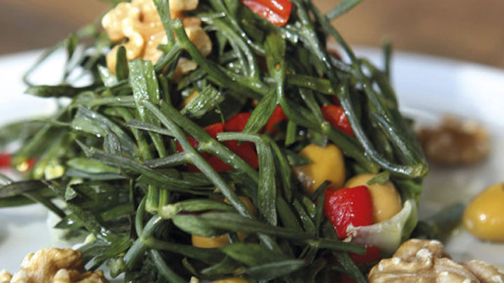 Kaya koruğu salatası tarifi