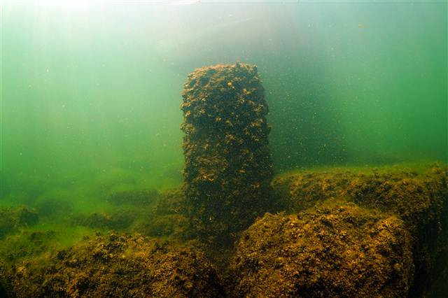 Bafa Gölünü görüntüledi ‘Bu kadarını hayal bile edemezdim’