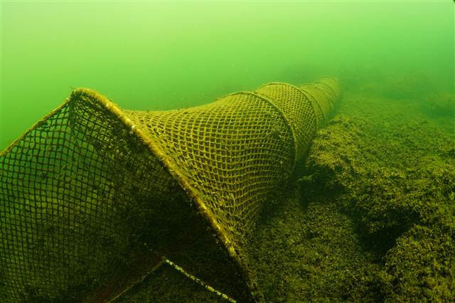 Bafa Gölünü görüntüledi ‘Bu kadarını hayal bile edemezdim’