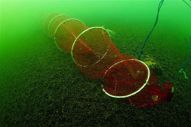 Bafa Gölünü görüntüledi ‘Bu kadarını hayal bile edemezdim’