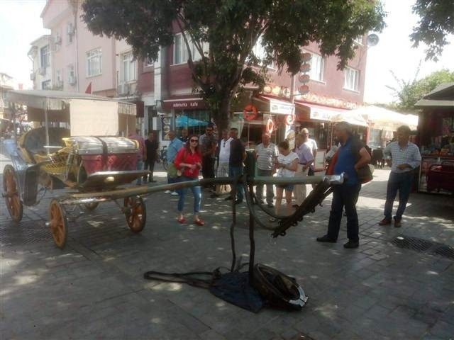 Faytonculardan koşum takımlı protesto