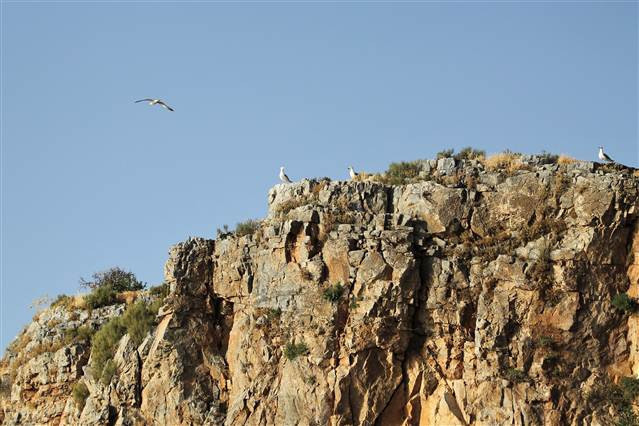Van Gölünün saklı koyları