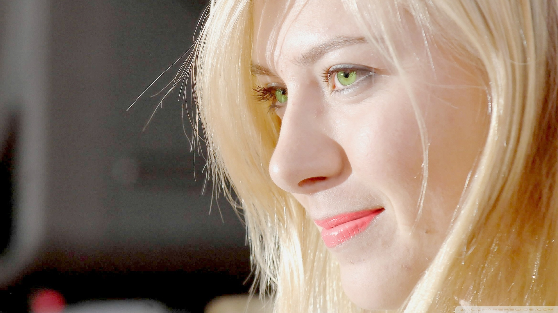 Sharapova çıldırdı İspanya elenince...