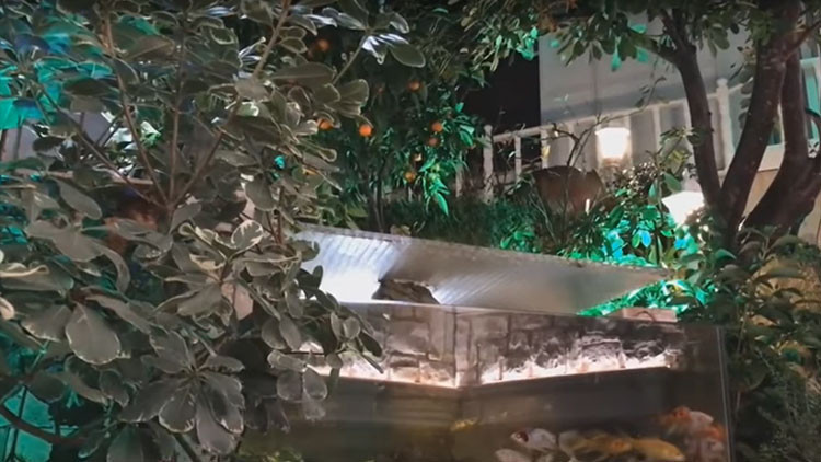 İşte Adnan Oktarın şatafatlı yaşamı İşte Adnan Oktarın şatafatlı yaşamı