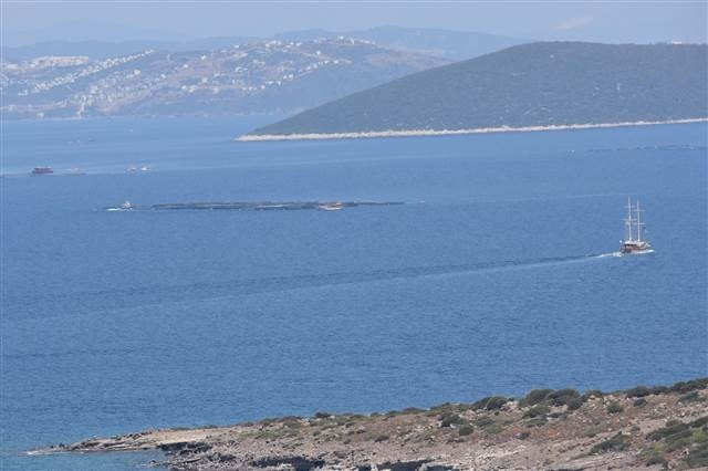 Cennet koyu kirleten balık çiftliklerinin ’şirket’ kurnazlığı Cennet koyu kirleten balık çiftliklerinin ’şirket’ kurnazlığı