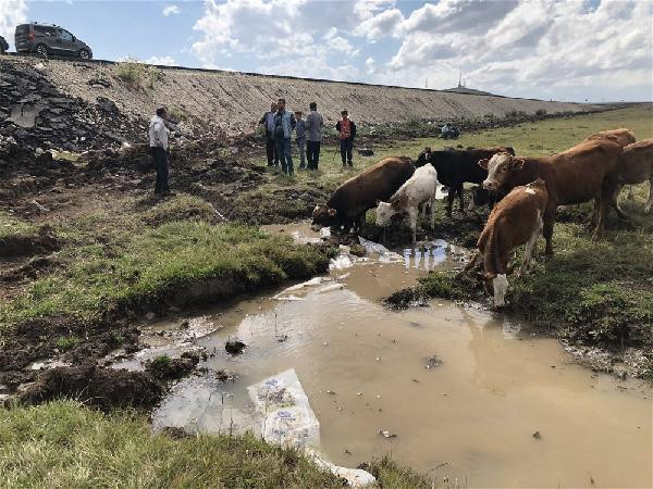 Çocuklar buldu, köylüler kendinden geçti