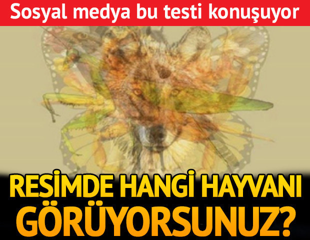 İlk başta ne görüyorsunuz Çok konuşulan o test