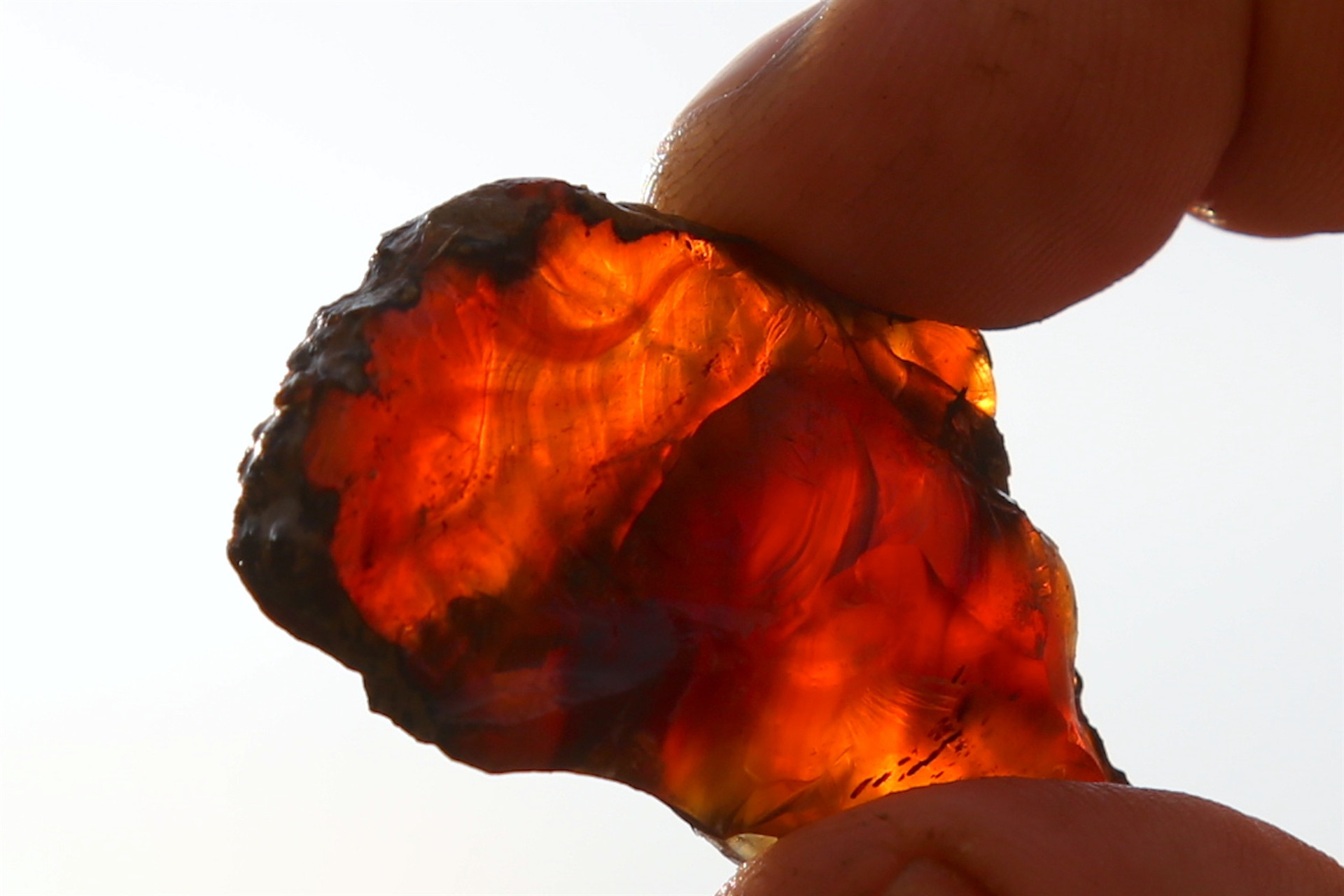 Türkiyede ilk kez tespit edildi İnceleniyor...