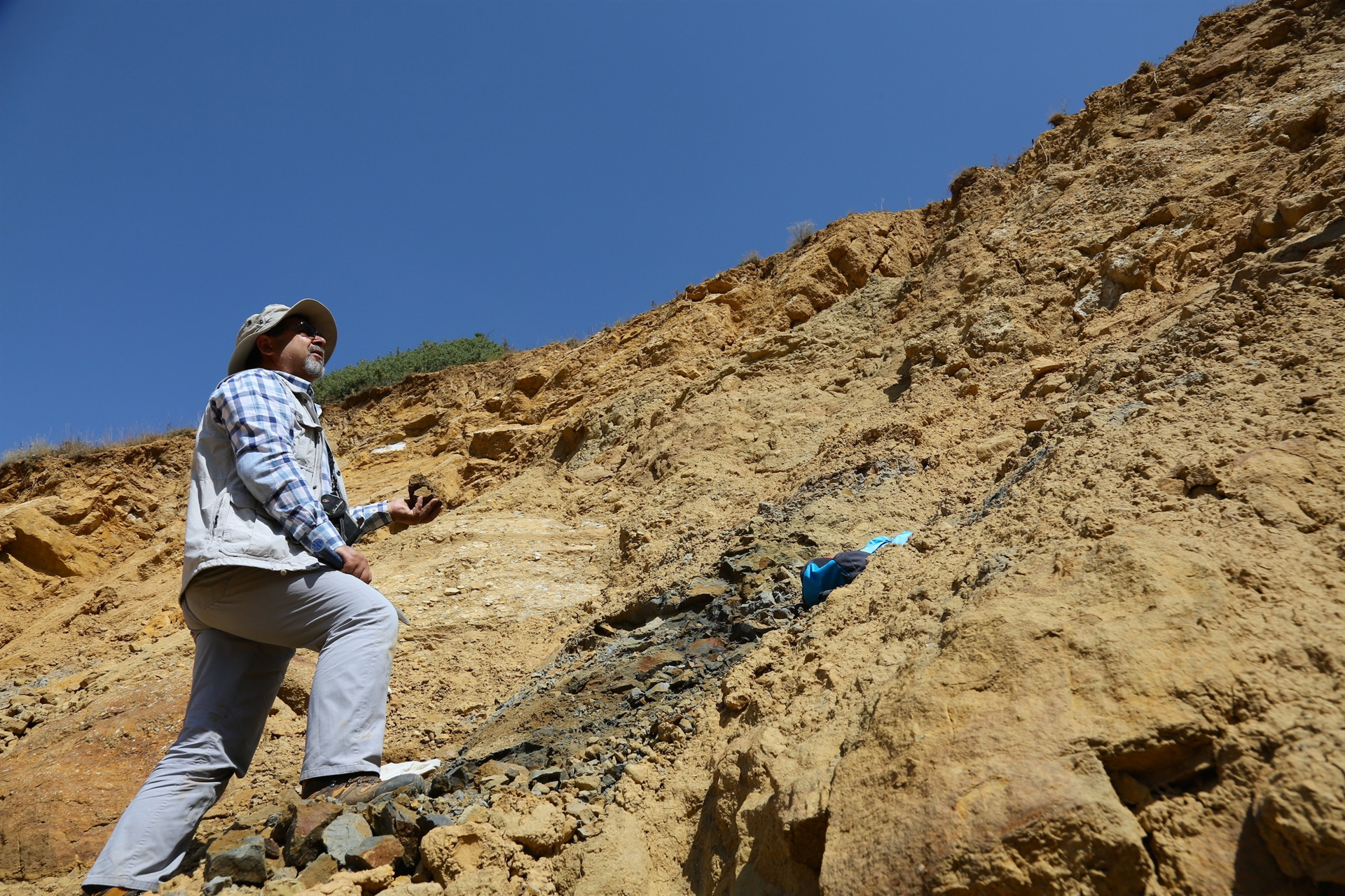 Türkiyede ilk kez tespit edildi İnceleniyor...