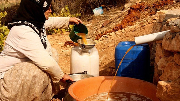 Diyarbakır ve Mardin köylerinde bağ bozumu