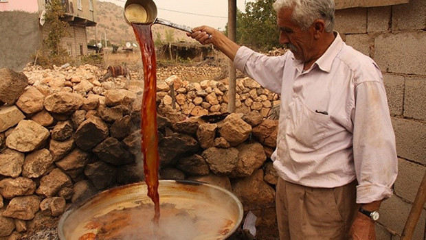 Diyarbakır ve Mardin köylerinde bağ bozumu