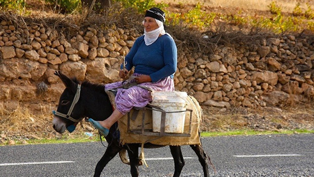 Diyarbakır ve Mardin köylerinde bağ bozumu