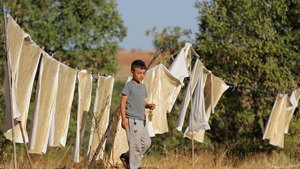 Diyarbakır ve Mardin köylerinde bağ bozumu