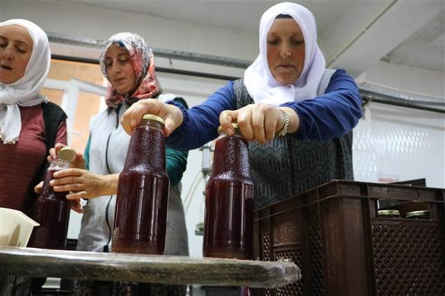 Üzümün bağdan şıraya lezzetli yolculuğu Üzümün bağdan şıraya lezzetli yolculuğu
