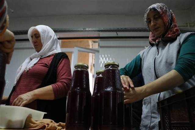 Üzümün bağdan şıraya lezzetli yolculuğu Üzümün bağdan şıraya lezzetli yolculuğu