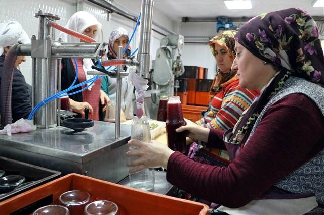 Üzümün bağdan şıraya lezzetli yolculuğu Üzümün bağdan şıraya lezzetli yolculuğu