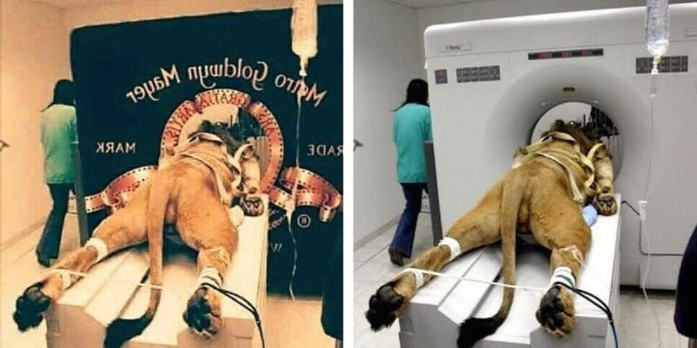 Gerçek olmadığı ortaya çıkan fotoğraf kareleri