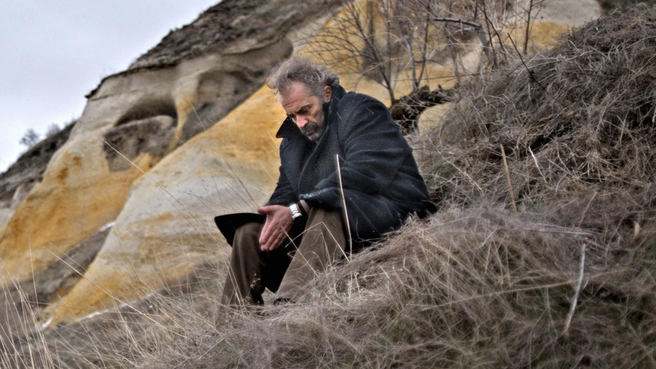 Kış Uykusu (2014)