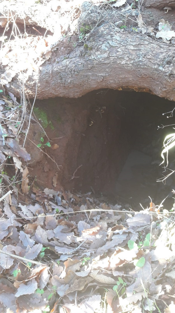 Terör örgütüne darbe 23 sığınak ve barınak bulundu