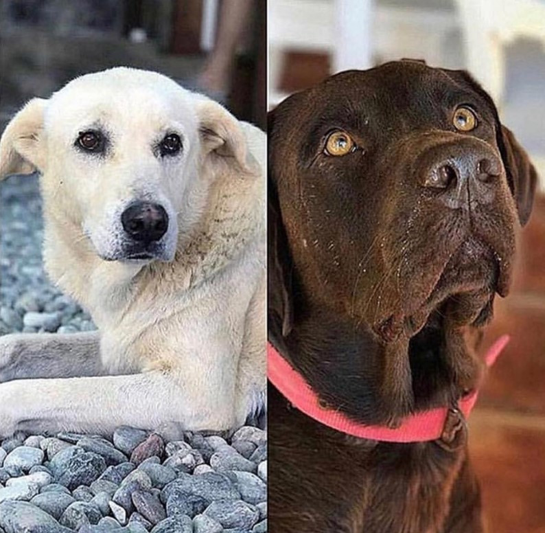 Tanem Sivar o günü anlattı: Eşimin çığlıklarını duydum...