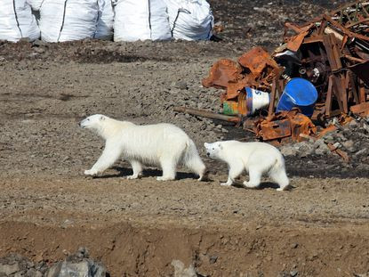 Kırmızı alarm Her yeri istila ettiler...