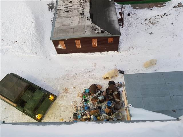 Kırmızı alarm Her yeri istila ettiler...