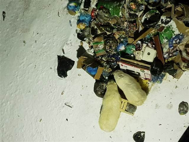 Kırmızı alarm Her yeri istila ettiler...