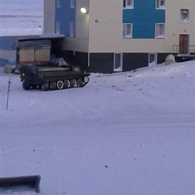 Kırmızı alarm Her yeri istila ettiler...