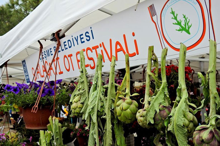 Alaçatı Ot Festivali 4 Nisanda başlıyor