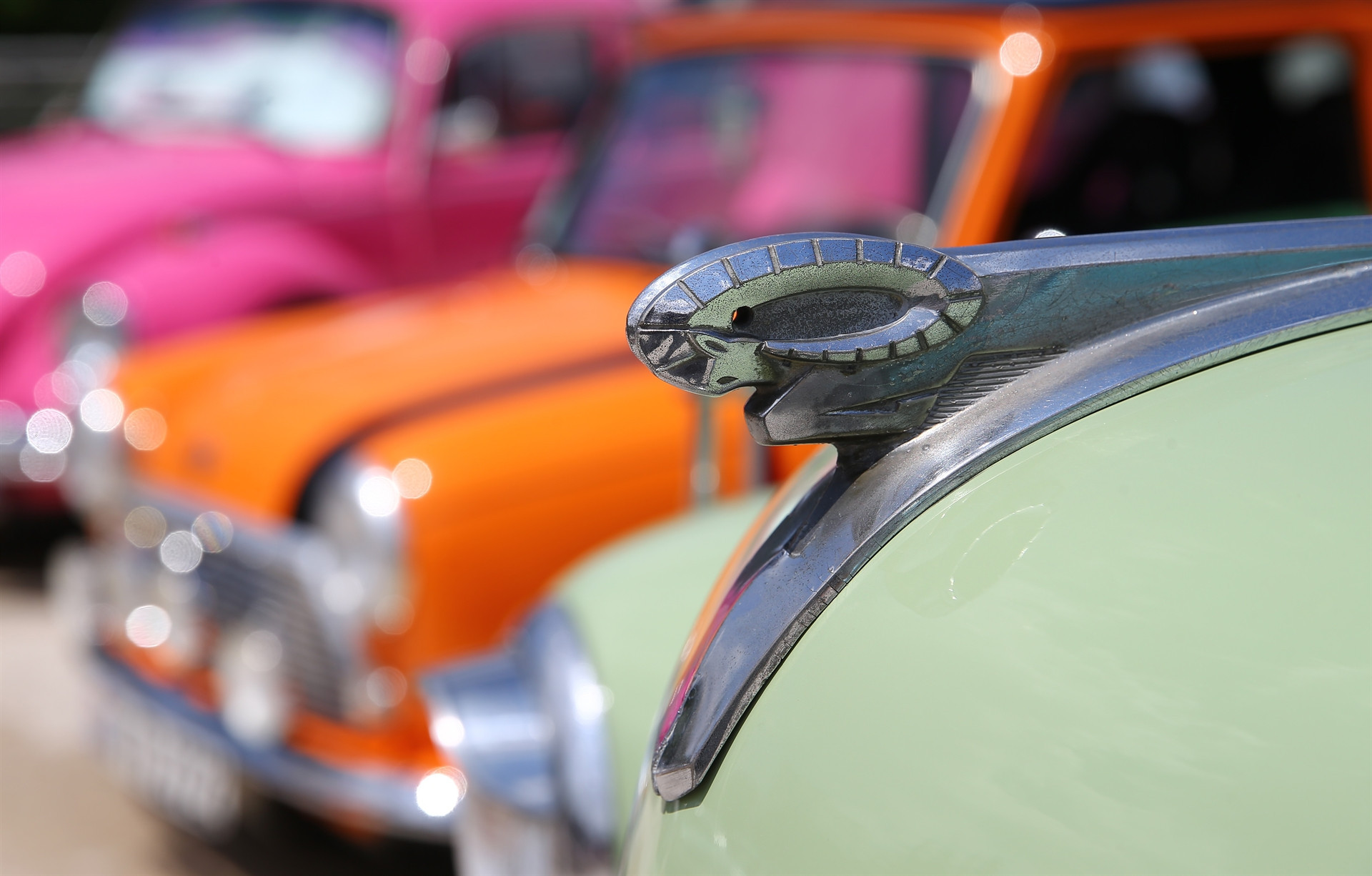 Oraya akın ettiler... En çok ilgiyi o gördü