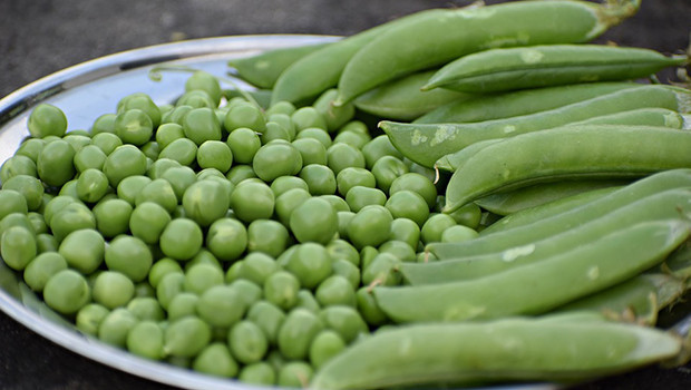 Pratik bezelye yemeği tarifi