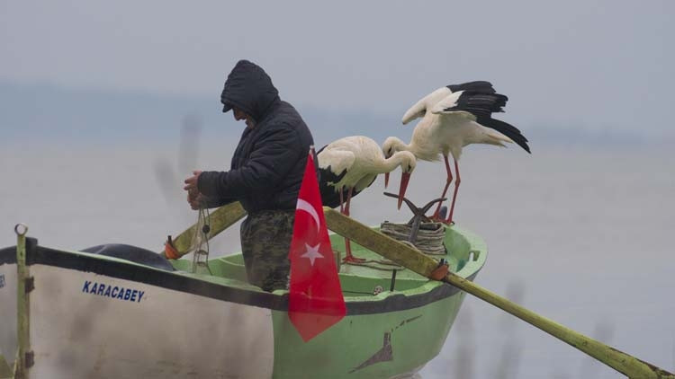 Adem Amca ve Yaren Leylek hikayesine yeni üye…