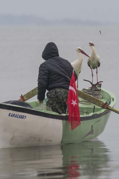 Adem Amca ve Yaren Leylek hikayesine yeni üye…