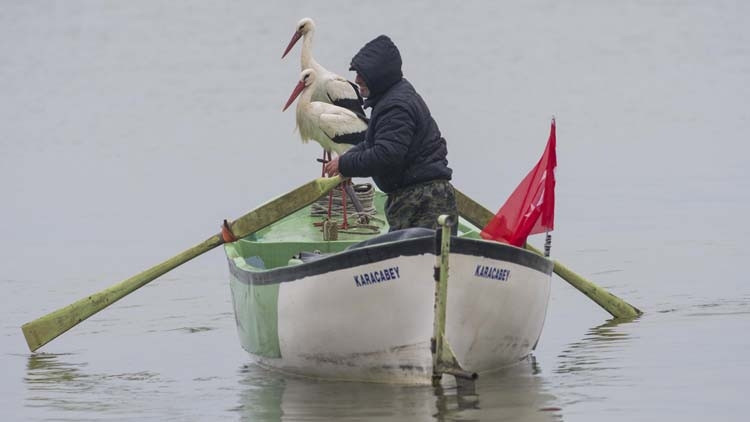 Adem Amca ve Yaren Leylek hikayesine yeni üye…
