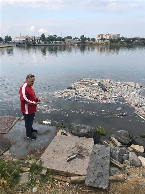 Küçükçekmece Gölünde tedirgin eden balık ölümleri