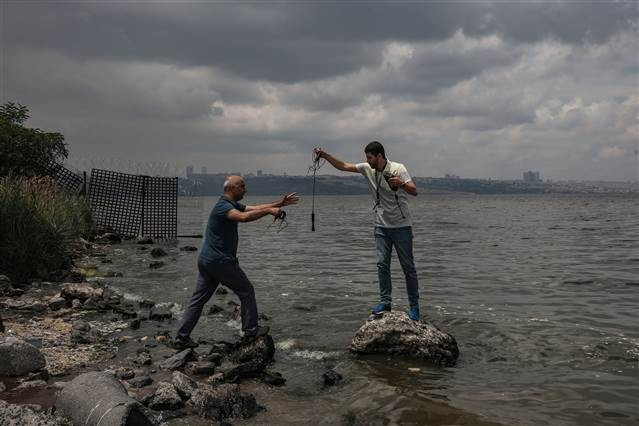 Küçükçekmece Gölünde tedirgin eden balık ölümleri