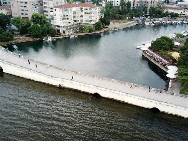 Küçükçekmece Gölünde tedirgin eden balık ölümleri