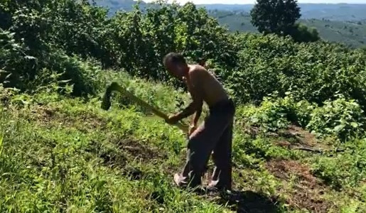 Ot biçip çapa yaptı... Ünlü oyuncu tatilde