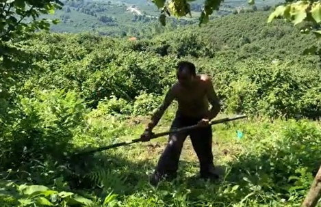 Ot biçip çapa yaptı... Ünlü oyuncu tatilde