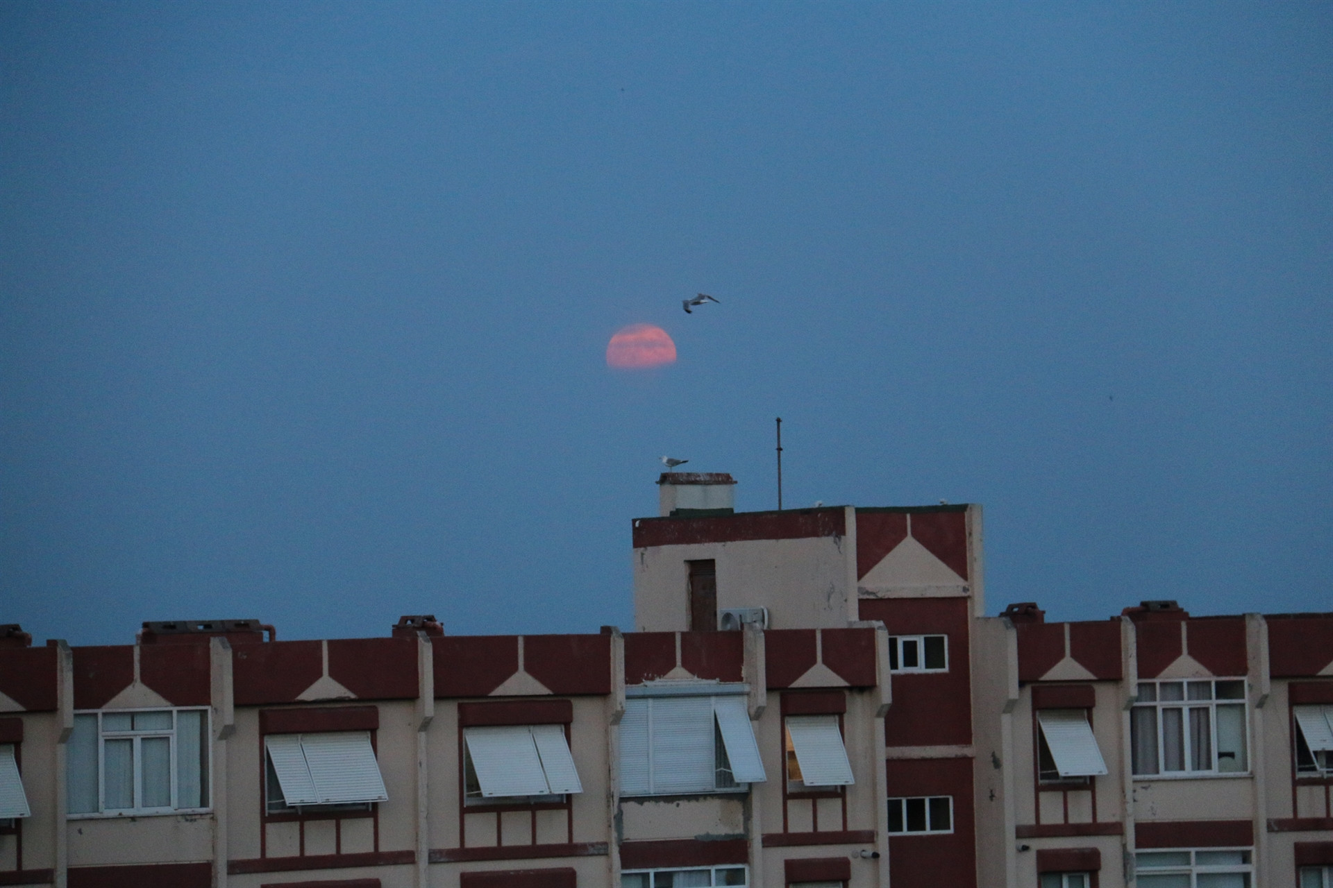 Parçalı Ay Tutulması böyle görüntülendi
