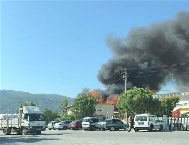 İzmirde palet fabrikasında yangın
