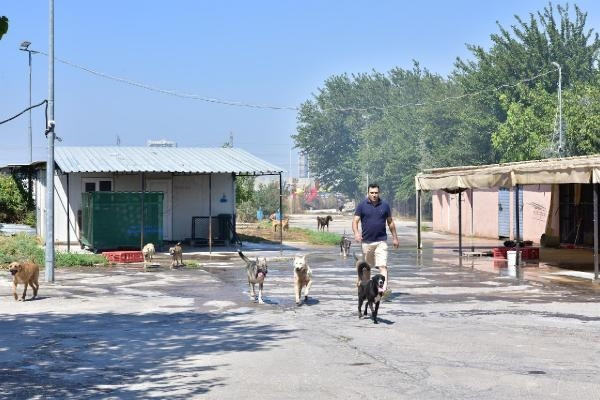 İzmirde palet fabrikasında yangın