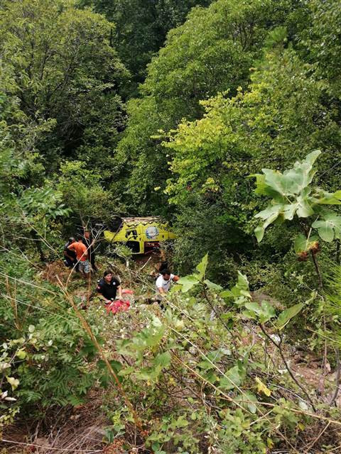 Alanyada safari cipi devrildi