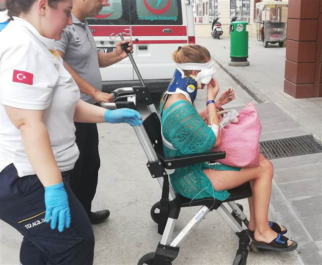 Alanyada safari cipi devrildi