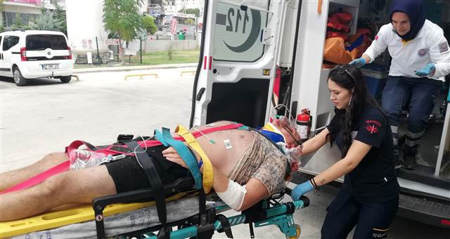 Alanyada safari cipi devrildi