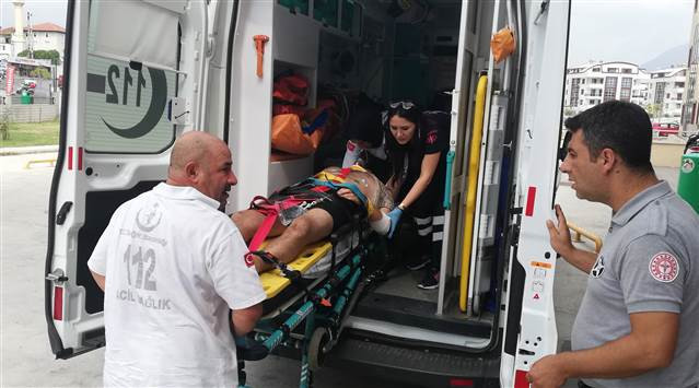 Alanyada safari cipi devrildi