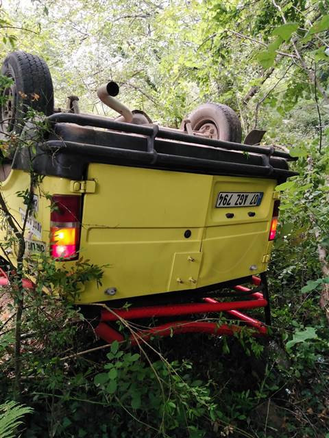 Alanyada safari cipi devrildi