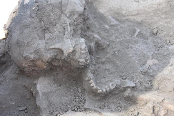Anadolu’nun 5 bin yıllık ilk şehir yapılanması ortaya çıkarıldı