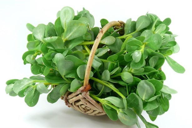 Porno video 4ik.ru Ogzi va mushuki bor qizlar