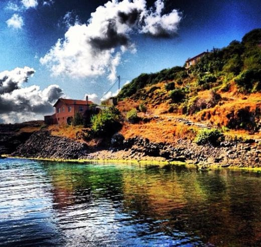 Twitterda fotoğrafçı oldular Twitterda fotoğrafçı oldular